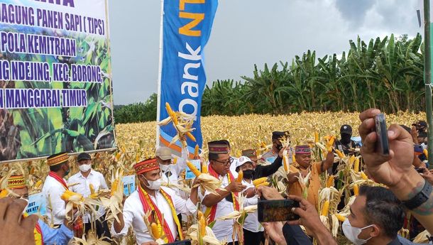 Gubernur NTT, VBL: Kalau Masih Ada Lahan Tidur Maka Orangnya Lagi Tidur