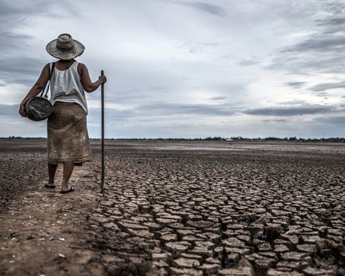 Google Doodle Hari Ini: Earth Day 2022 Ingatkan Perubahan Iklim Bumi