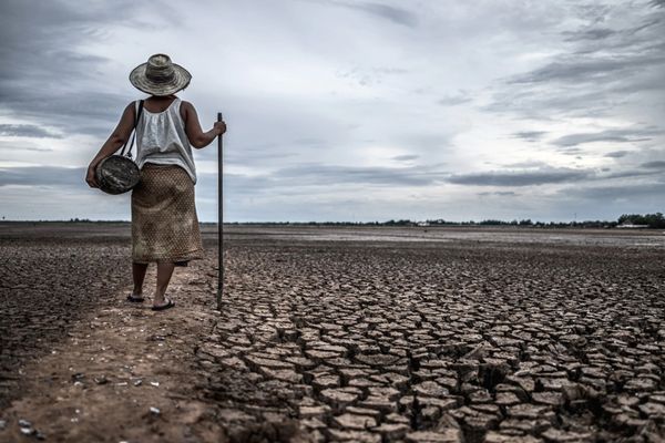 Google Doodle Hari Ini: Earth Day 2022 Ingatkan Perubahan Iklim Bumi