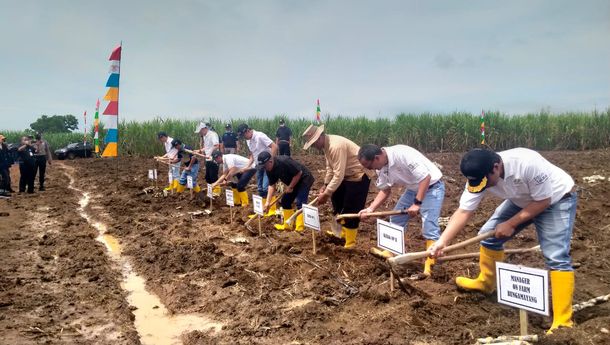 Safari Ramadan, PTPN VII Tanam Tebu Perdana dan Gelar Pasar Murah