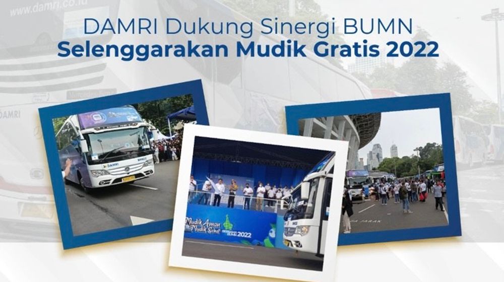 image_6487327 (5).JPG