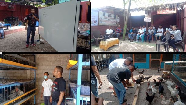 Solideo Farm Beri Pelatihan Budidaya Ayam Kampung kepada Kelompok Peternak dan Perangkat Desa Riangrita, Flotim