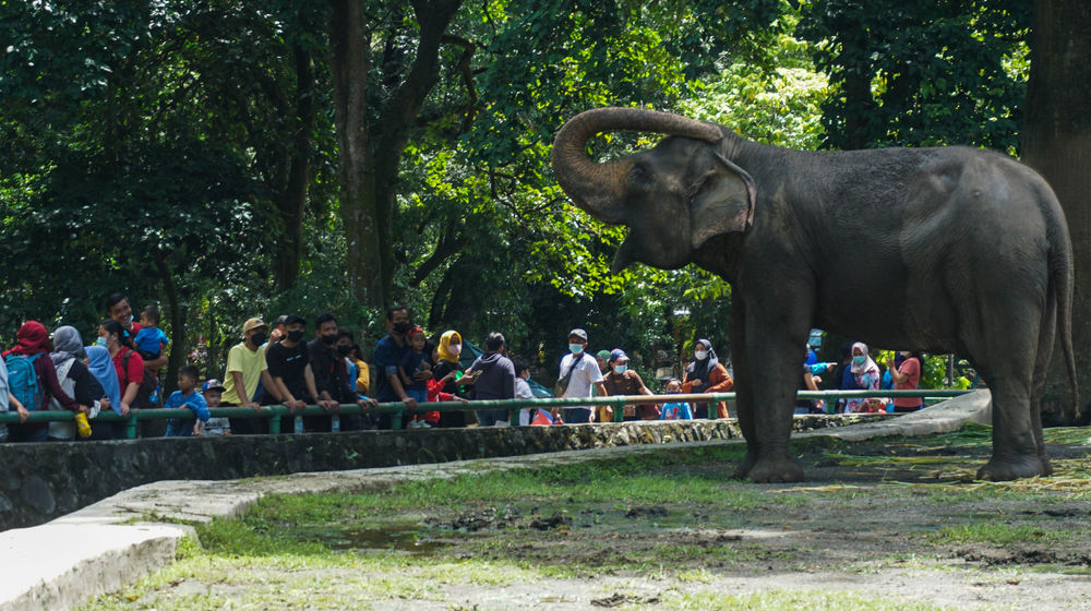 Libur Lebaran Ragunan.jpg