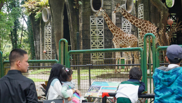 Hari Kedua Lebaran, Pengunjung Padati Tempat Wisata Taman Margasatwa Ragunan