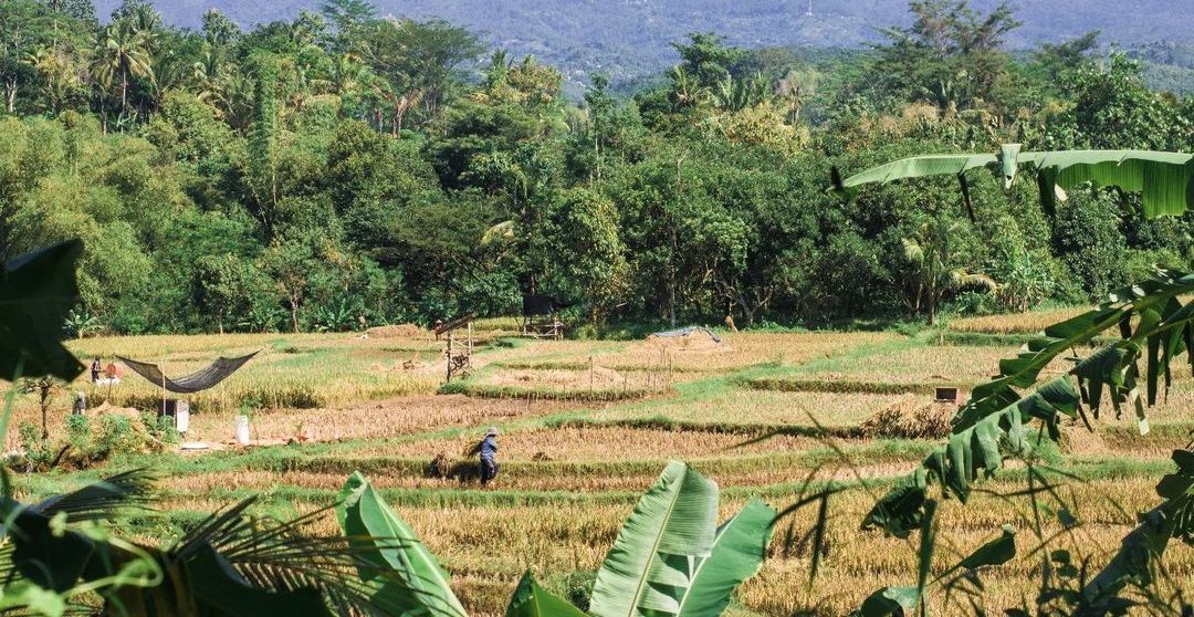 Indeks Pembangunan desa di Kalimantan Timur diperkirakan berada di posisi 10 secara nasional. 