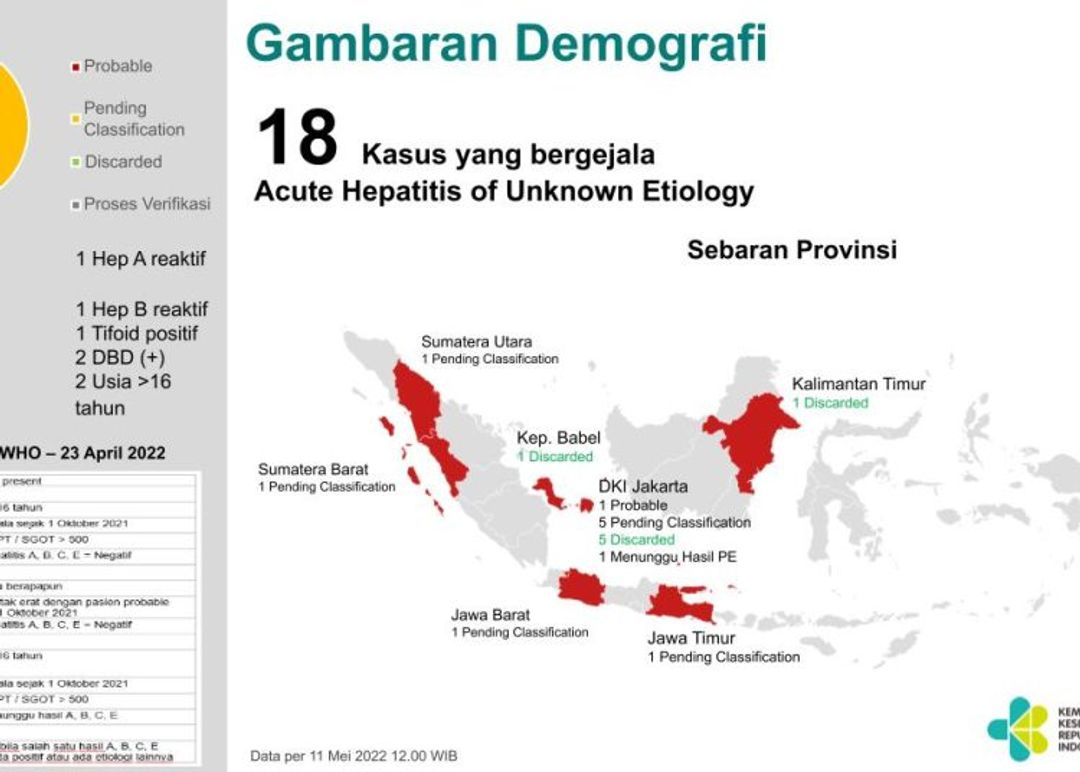 Sebaran Hepatitis Akut RI