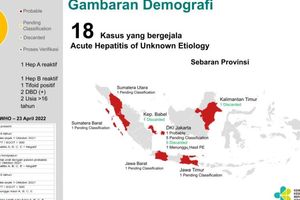 Sebaran Hepatitis Akut