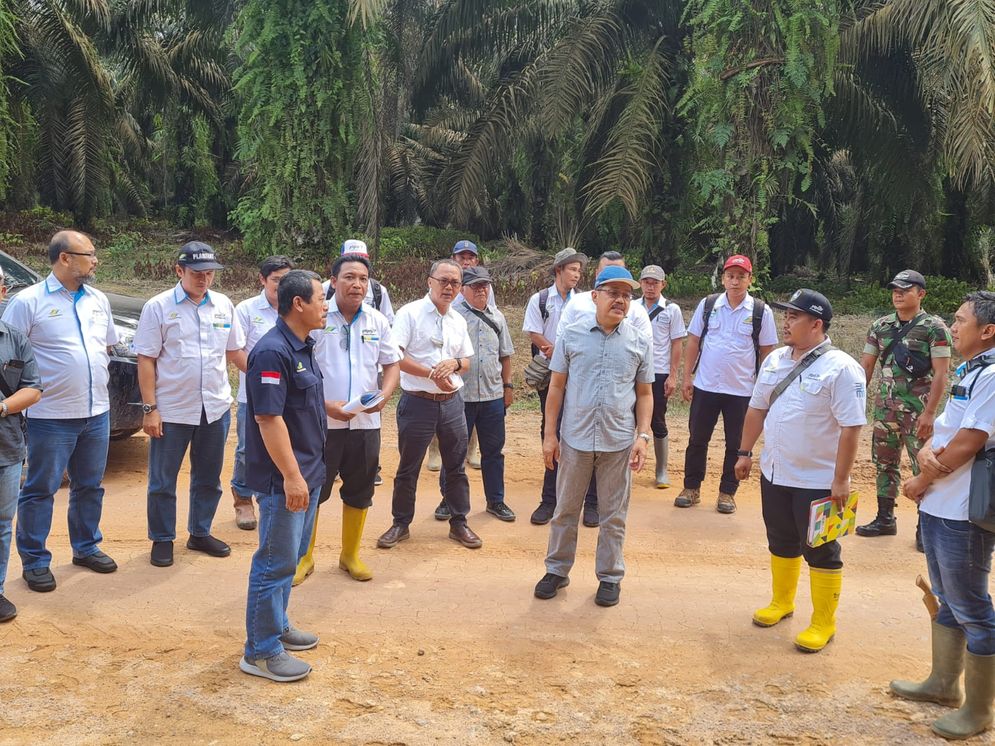 Pada komoditas kelapa sawit, semua unit kerja wilayah Sumatera Selatan menunjukkan kontribusi positifnya. 