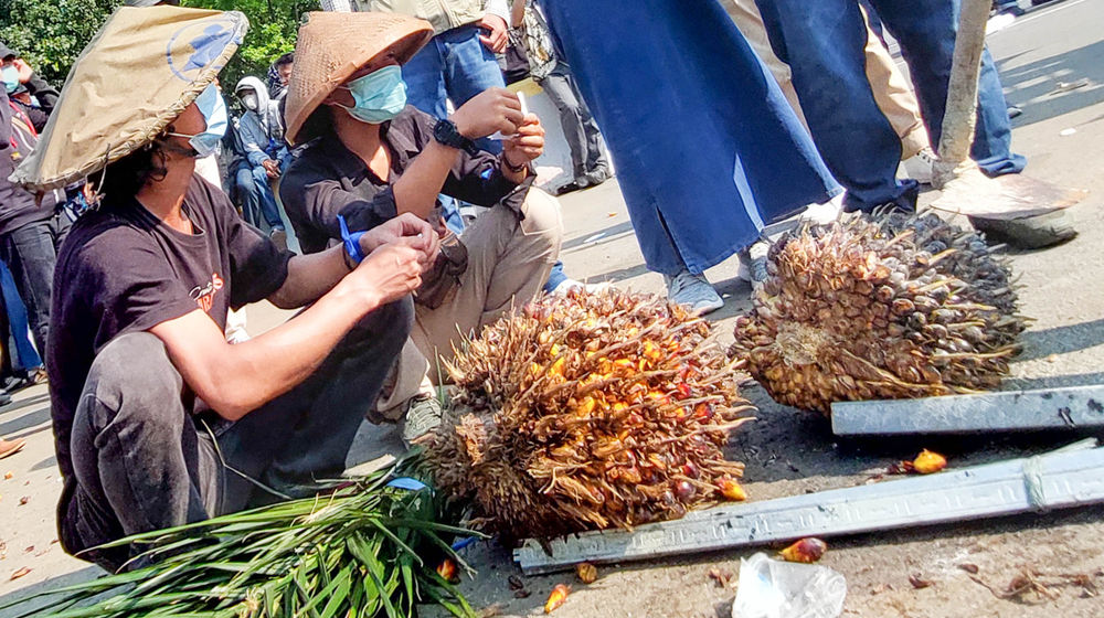 Aksi Unjuk Rasa Harga CPO.jpg