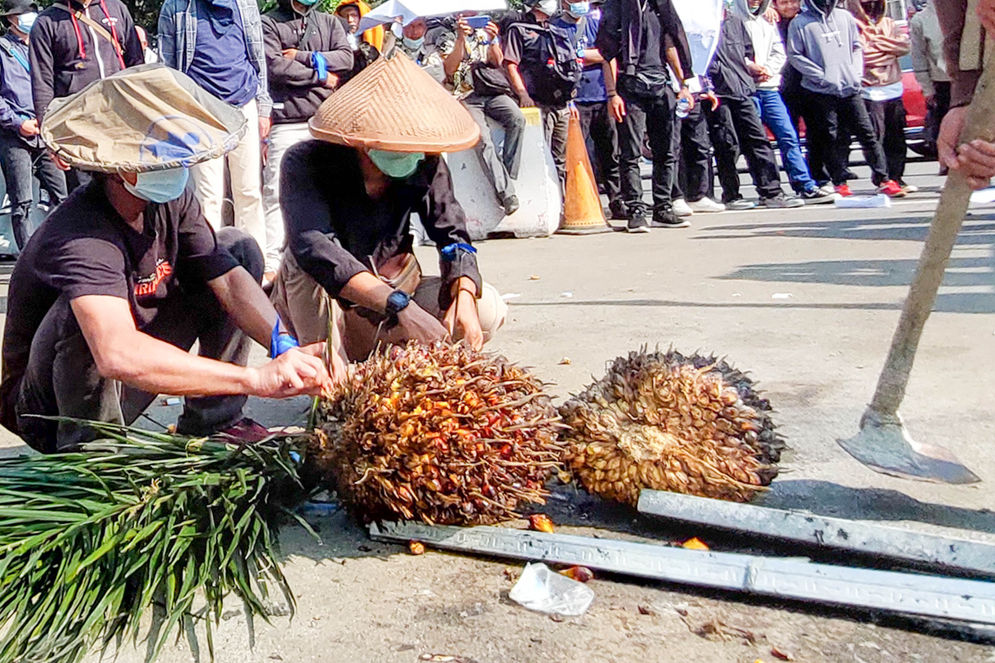 Aksi Unjuk Rasa Harga CPO.jpg