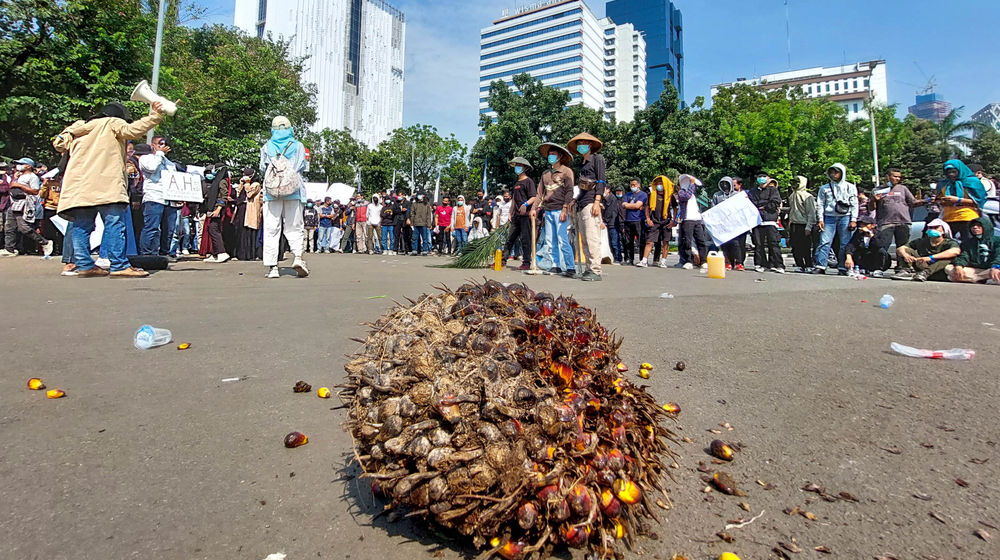 Aksi Unjuk Rasa Harga CPO.jpg