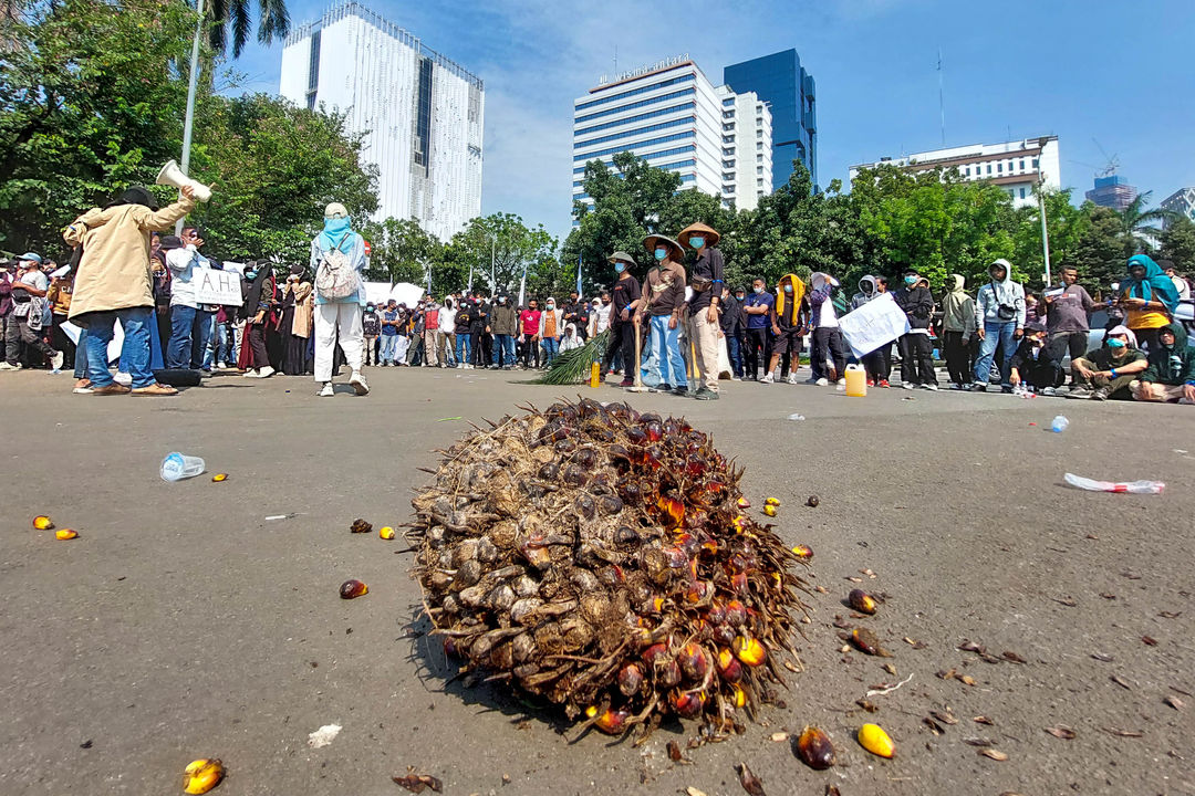 Massa yang tergabung dalam Barisan Masyarakat Anti Korupsi, Kolusi dan Nepotisme (BASMI KKN) melakukan aksi unjuk rasa dengan membawa sawit di Jakarta, Jumat, 27 Mei 2022. Foto: Ismail Pohan/TrenAsia