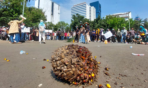 Massa yang tergabung dalam Barisan Masyarakat Anti Korupsi, Kolusi dan Nepotisme (BASMI KKN) melakukan aksi unjuk rasa dengan membawa sawit di Jakarta, Jumat, 27 Mei 2022. Foto: Ismail Pohan/TrenAsia