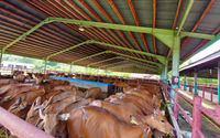 A-SAPI.jpg