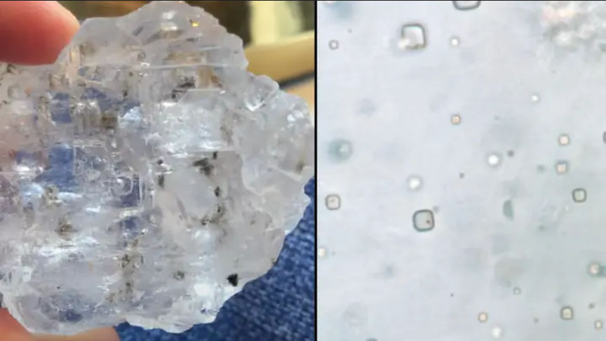 Gelembung pada rongga kecil dalam kristal garam batu ini akan diteliti dengan kemungkinan mengandung mikroorganisme zaman purba.