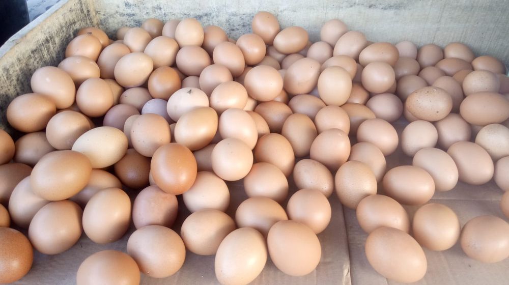 WhatsApp Image 2022-05-30 at 18.07.00 (1).jpeg