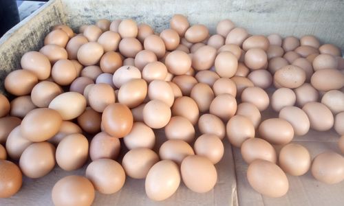 WhatsApp Image 2022-05-30 at 18.07.00 (1).jpeg