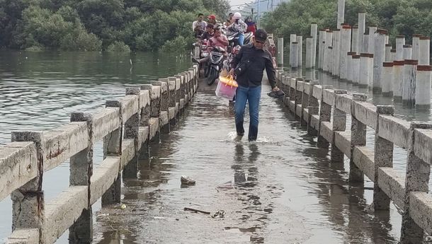 Langganan Banjir Rob, Warga Minta Pemkot Bandar Lampung Bangunkan Tanggul