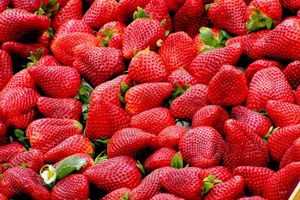 Virus Hepatitis A yang tersebar di AS dan Kanada diduga berasal dari buah stroberi yang dijual di supermarket.