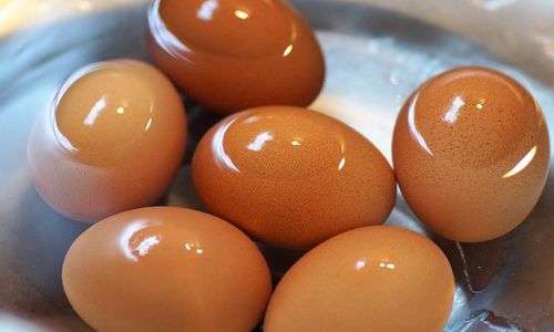 egg-ge6c0102c2_1280.jpg