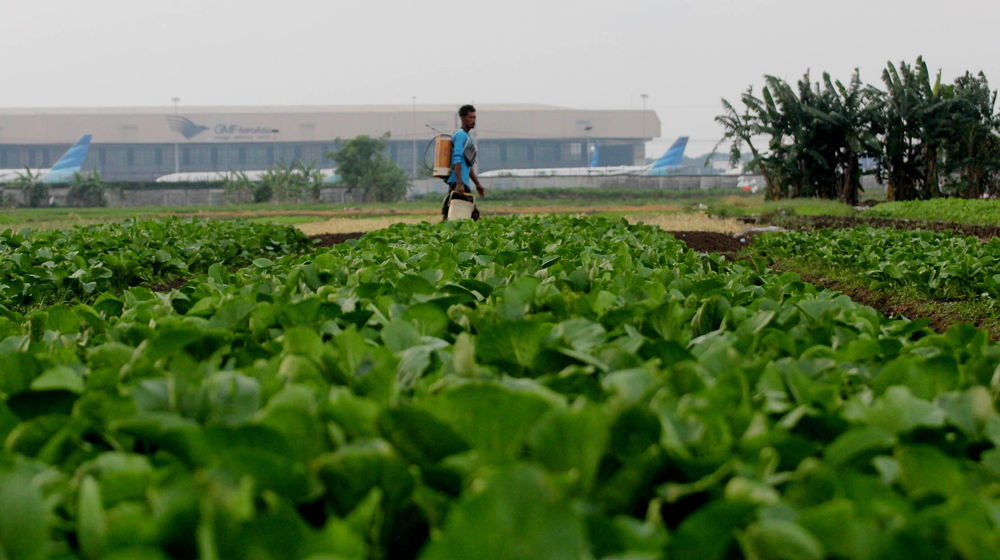 Pertanian Serap Tenaga Kerja - Panji 4.jpg