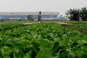 Pertanian Serap Tenaga Kerja - Panji 4.jpg