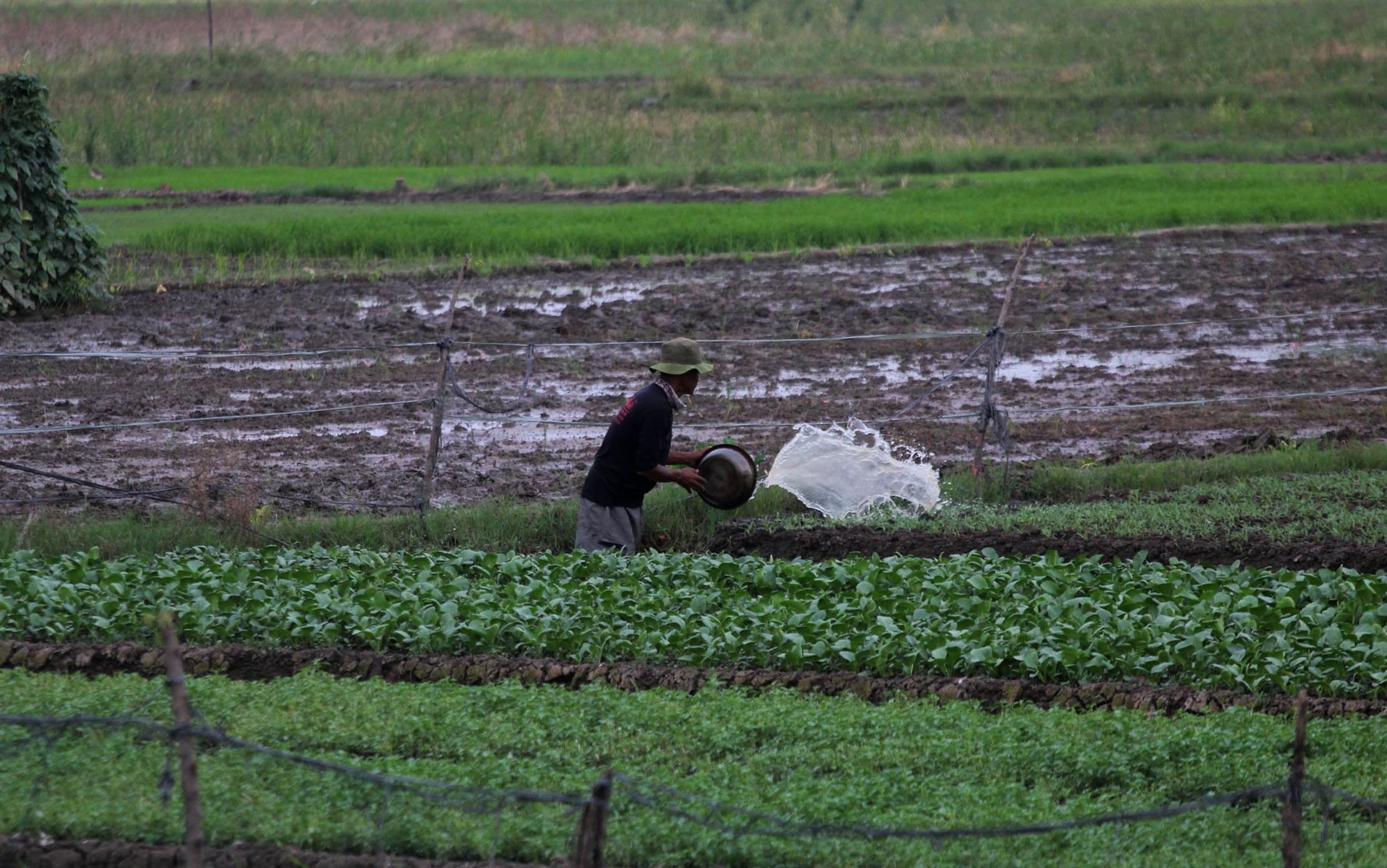 Nampak sejumlah petani sayur yang merawat tanaman di lahan milik PT Angkasa Pura Bandara Soekarno Hatta, Kota Tangerang, Selasa 7 Juni 2022. Foto : Panji Asmoro/TrenAsia