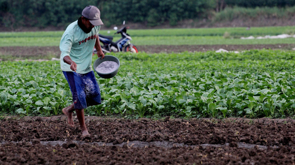 Pertanian Serap Tenaga Kerja - Panji 6.jpg