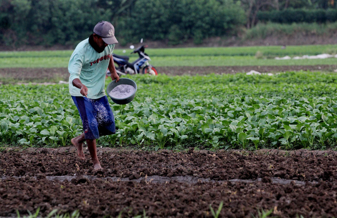 Nampak sejumlah petani sayur yang merawat tanaman di lahan milik PT Angkasa Pura Bandara Soekarno Hatta, Kota Tangerang, Selasa 7 Juni 2022. Foto : Panji Asmoro/TrenAsia