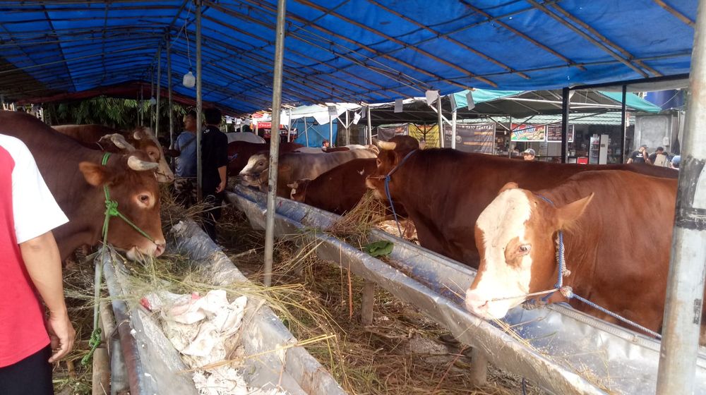 WhatsApp Image 2022-06-07 at 20.12.44.jpeg