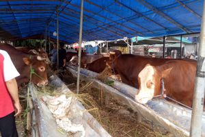 WhatsApp Image 2022-06-07 at 20.12.44.jpeg