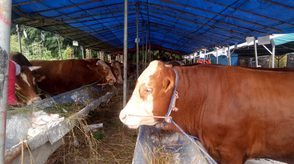 WhatsApp Image 2022-06-08 at 13.16.36.jpeg