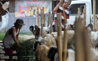 Aktifitas pedagang hewan kurban di kawasan Galeong, Kota Tangerang, Banten. Foto : Panji Asmoro/TrenAsia