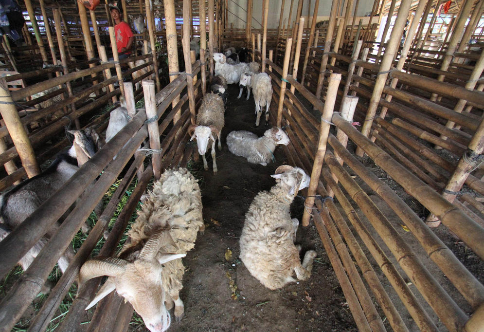 Cara Turunkan Kolesterol Tinggi Akibat Konsumsi Daging Berlebih