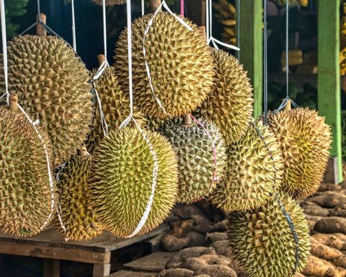 Durian