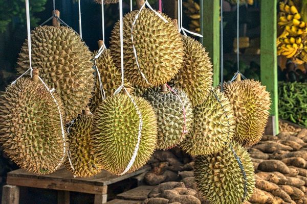 Durian