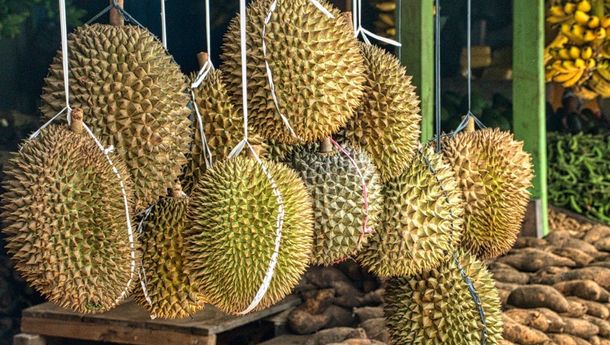 Inilah  Khasiat Durian untuk Kesehatan