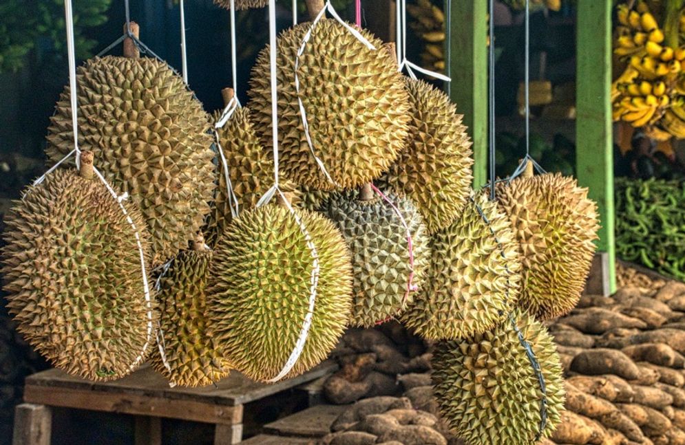 Jadi Tren Saat Musim Hujan, Ini Khasiat Durian untuk Kesehatan