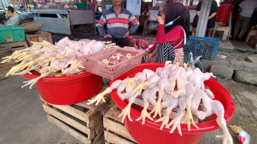 Ilustrasi Pasar Tradisional - Panji 4.jpg