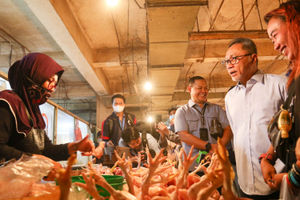 Mendag Zulhas Tinjau Pasar-6.jpg
