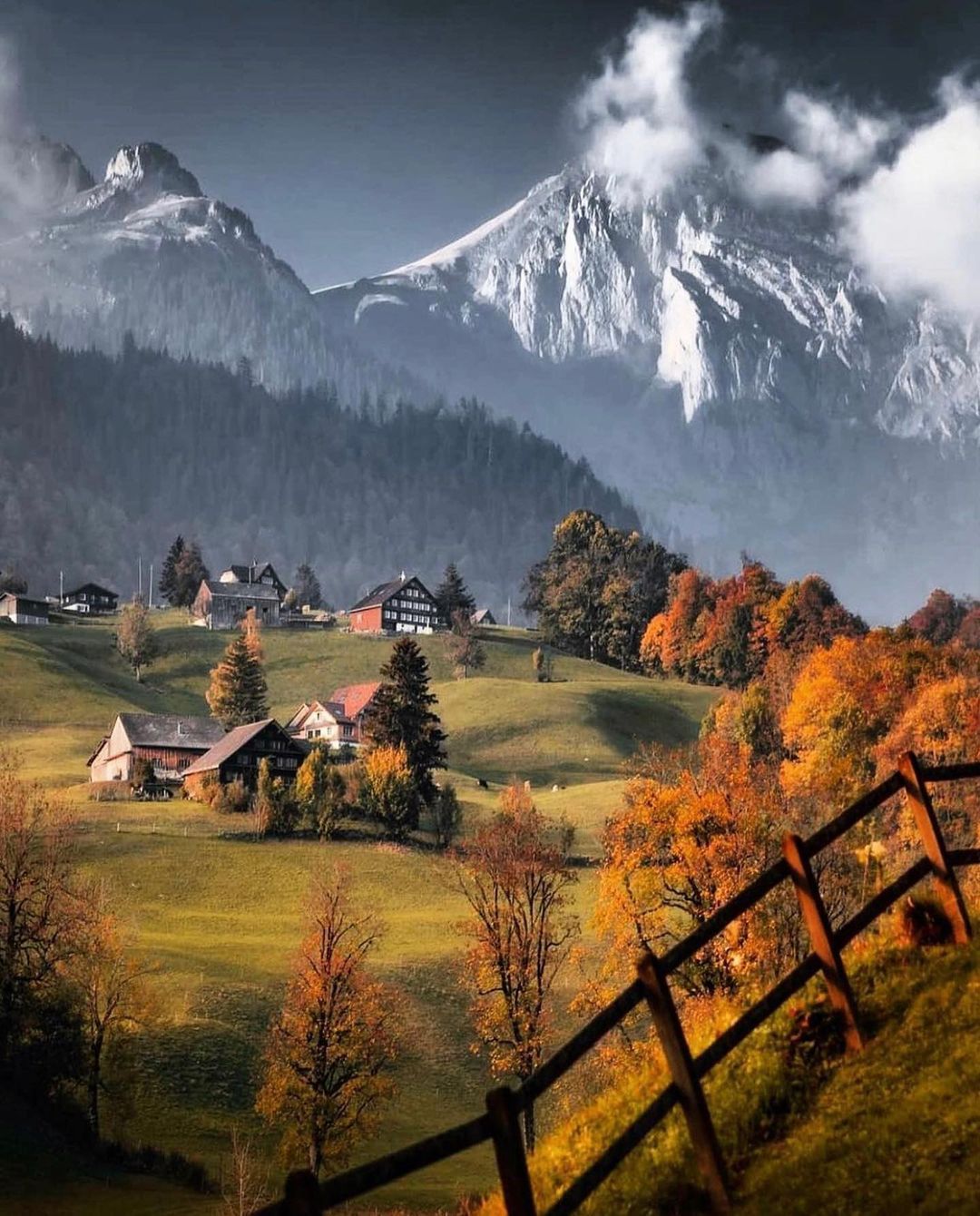 Swiss