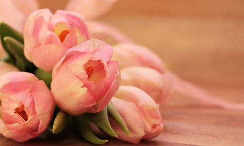 happy-mothers-day-gc54b62893_1280.jpg