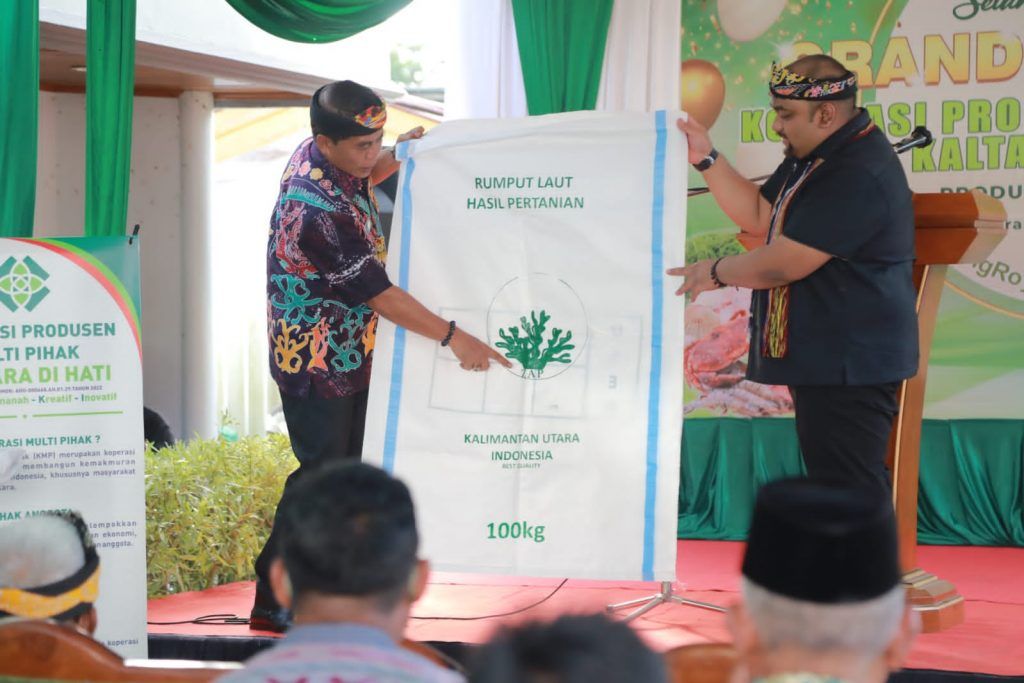 Gubernur Zainal Paliwang meresmikan koperasi 'rumput laut' untuk mendorong ekspor hasil laut di Kaltara.