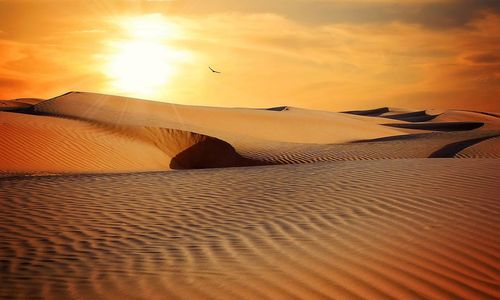 desert-g556b6c609_1280.jpg