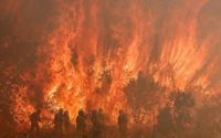 Kebakaran hutan di Spanyol sebagai akibat dari gelombang panas yang melanda negara-negara di Eropa.