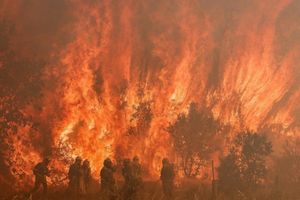 Kebakaran hutan di Spanyol sebagai akibat dari gelombang panas yang melanda negara-negara di Eropa.