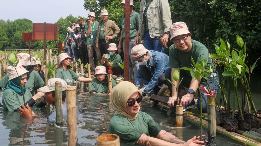 Penanaman mangrove Jayamix by SCG-1.jpg