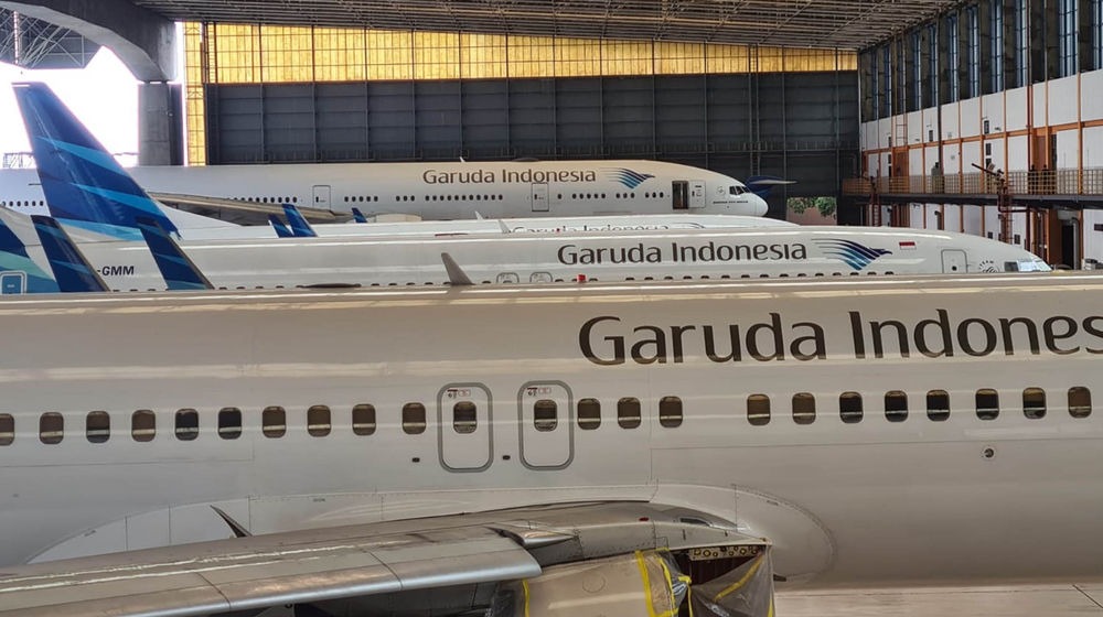 Ilustrasi Garuda - Panji 1.jpg