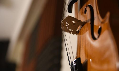 violin-g2196c346a_1280.jpg