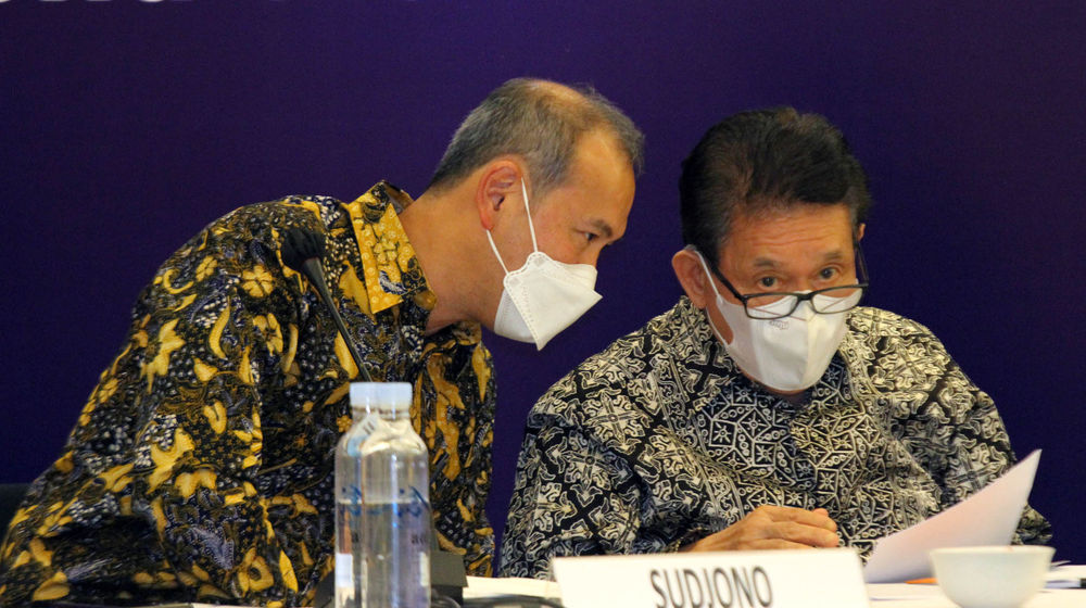 RUPS BFI - Panji 5.jpg